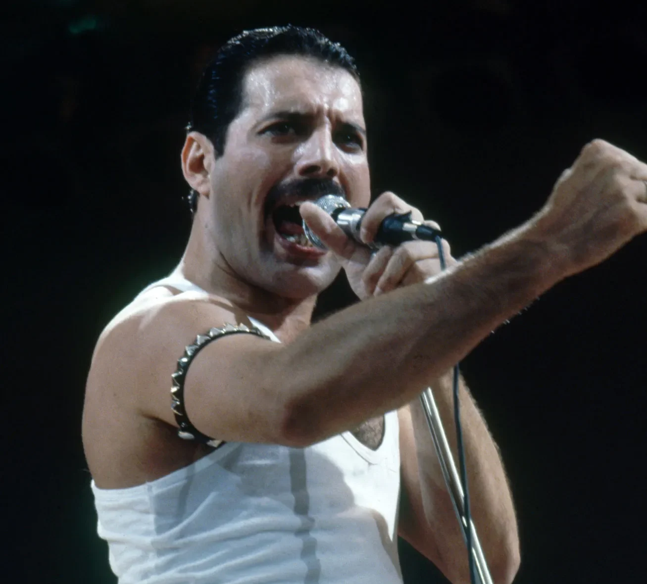 Mengenang Live Aid 1985, Konser Amal Bertabur Bintang